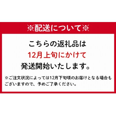徳之島 天城町 吉川果樹園 アールスメロン Lサイズ 2玉 メロン マスクメロン
