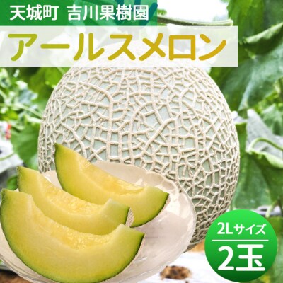 徳之島 天城町 吉川果樹園 アールスメロン 2Lサイズ 2玉 メロン マスクメロン