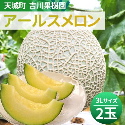 徳之島 天城町 吉川果樹園 アールスメロン 3Lサイズ 2玉 メロン マスクメロン