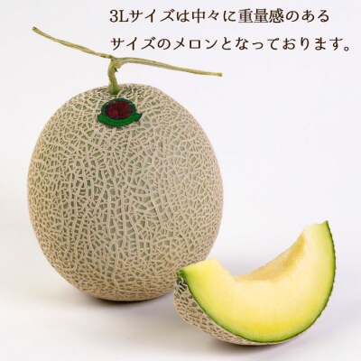 徳之島 天城町 吉川果樹園 アールスメロン 3Lサイズ 2玉 メロン マスクメロン