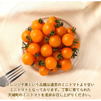 徳之島 天城町産 ミニトマト 200g×8パック 合計1.6kg オレンジ千果 トマト 野菜