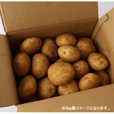 先行受付 徳之島 天城町 赤土ばれいしょ 新じゃが 春一番 5kg L～2L 混合サイズ ジャガイモ