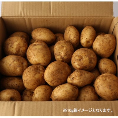 先行受付 徳之島 天城町 赤土ばれいしょ 新じゃが 春一番 10kg L～2L 混合 ジャガイモ
