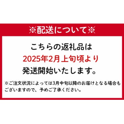 徳之島 天城町 赤土ばれいしょ 新じゃが 春一番 10kg L～2L 混合サイズ ジャガイモ