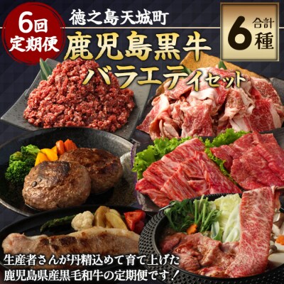【6回定期便】徳之島 天城町 鹿児島黒毛和牛 バラエティセット 焼肉 すき焼き ステーキ ハンバーグ