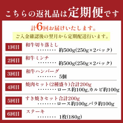 【6回定期便】徳之島 天城町 鹿児島黒毛和牛 バラエティセット 焼肉 すき焼き ステーキ ハンバーグ