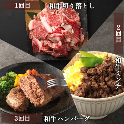【6回定期便】徳之島 天城町 鹿児島黒牛 バラエティセット 焼肉 すき焼き ステーキ ハンバーグ
