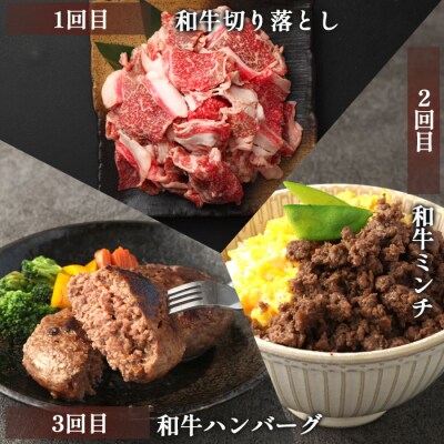 【6回定期便】徳之島 天城町 鹿児島黒毛和牛 バラエティセット 焼肉 すき焼き ステーキ ハンバーグ