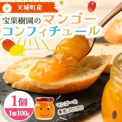 徳之島 天城町 宝果樹園 マンゴー コンフィチュール 100g×1個 ジャム
