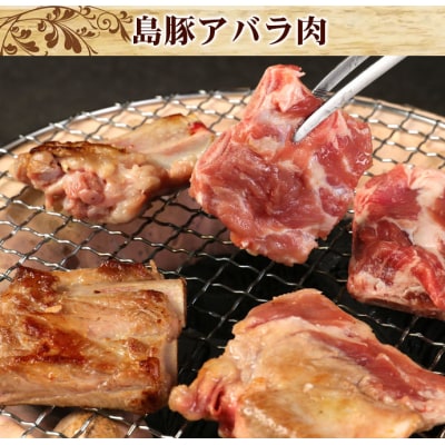 徳之島 天城町 愛情たっぷり島豚Aセット アバラ肉 豚皮揚げ(あんばかしぃ)
