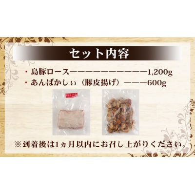 徳之島 天城町 愛情たっぷり 島豚Bセット 島豚ロース 1.2kg あばんかしぃ(油かす)600g