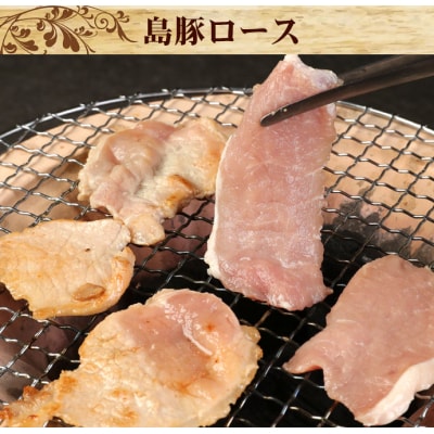 徳之島 天城町 愛情たっぷり 島豚Bセット 島豚ロース 1.2kg あばんかしぃ(油かす)600g