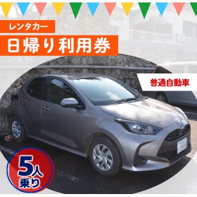 鹿児島県 徳之島 天城町 レンタカー 日帰り利用券 普通自動車 5人乗り ビジネス 旅行 チケット