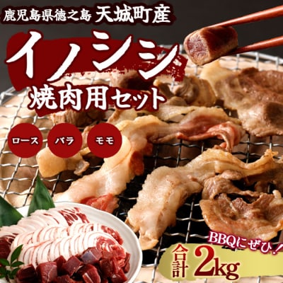 徳之島 天城町 イノシシ 焼肉セット 2kg 猪肉 ジビエ 焼肉 ロース バラ サイコロ