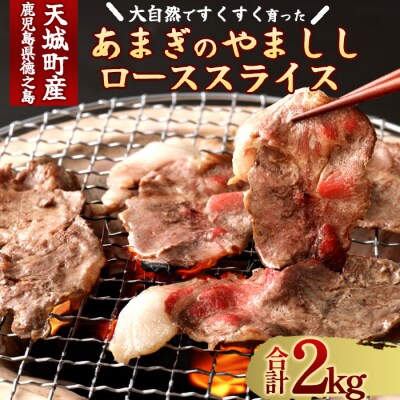 徳之島 天城町 イノシシ ロース スライス 2kg 猪肉 ジビエ