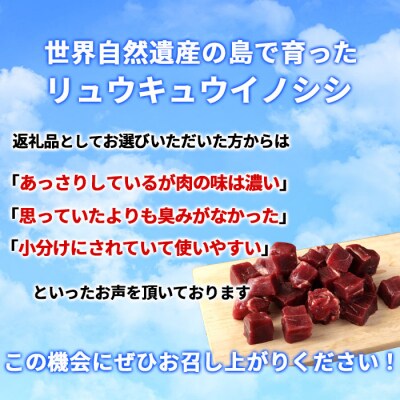 徳之島 天城町 イノシシ モモ肉 サイコロ カット 2kg 猪肉 ジビエ