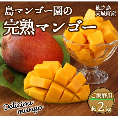 【2026年発送】【先行受付】徳之島 天城町産 島マンゴー園 完熟 マンゴー【ご家庭用】2kg