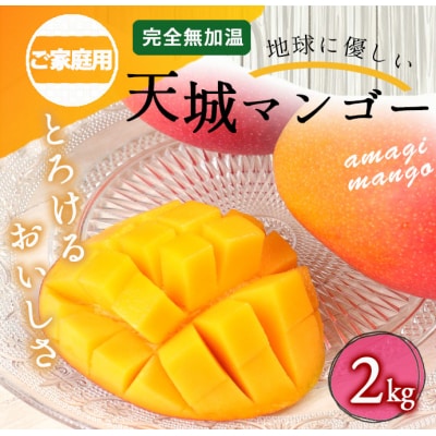 【2026年発送】【数量限定】徳之島 天城町産 完全無加温 完熟 マンゴー 家庭用 2kg