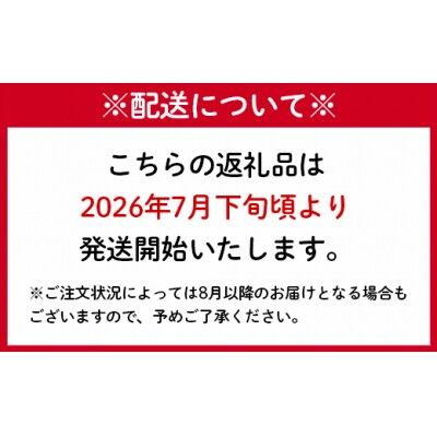 【2026年発送】【先行受付】徳之島 天城町産 完全無加温 完熟 マンゴー 家庭用 2kg