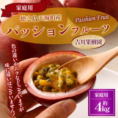 【2026年発送】徳之島 天城町 吉川果樹園 パッションフルーツ 家庭用 4kg トロピカルフルーツ