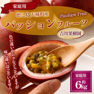 【2026年発送】徳之島 天城町 吉川果樹園 パッションフルーツ 家庭用 6kg トロピカルフルーツ