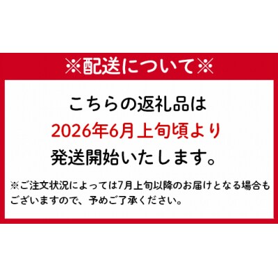 【2026年発送】徳之島 天城町 吉川果樹園 パッションフルーツ 家庭用 6kg トロピカルフルーツ