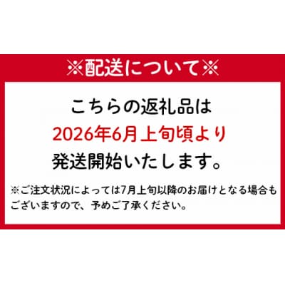 【2026年発送】先行受付 徳之島 天城町産 パッションフルーツ ご家庭用 2kg トロピカル