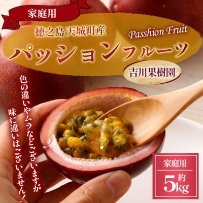 【2025年発送】徳之島 天城町 吉川果樹園 パッションフルーツ 家庭用 5kg トロピカル