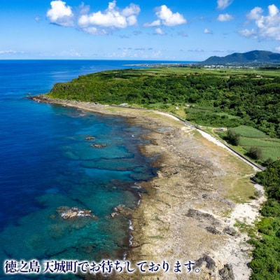 徳之島 天城町 オリジナルカレンダー 2026年版 A2サイズ 壁掛けタイプ 自然 風景 カレンダー