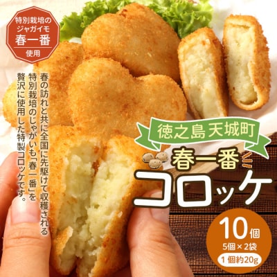 徳之島 春一番 コロッケ 10個セット 5個×2袋 1個当たり約60g 計約600g じゃがいも