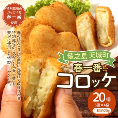 徳之島 春一番 コロッケ 20個セット 5個×4袋 1個当たり約60g 計約1.2kg じゃがいも