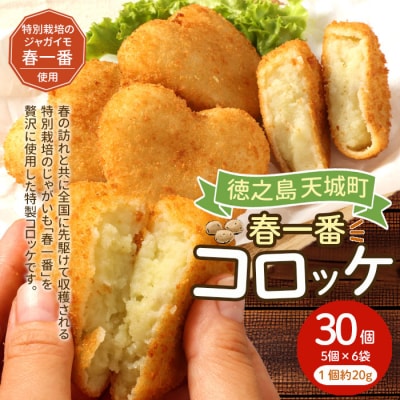 徳之島 春一番 コロッケ 30個セット 5個×6袋 1個当たり約60g 計約1.8kg じゃがいも 