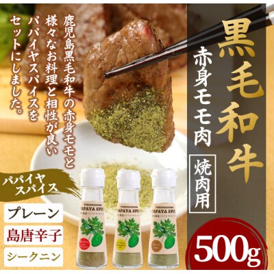 徳之島 天城町 鹿児島黒毛和牛 赤身モモ肉 焼肉用 500g パパイヤスパイス 40g×3種セット