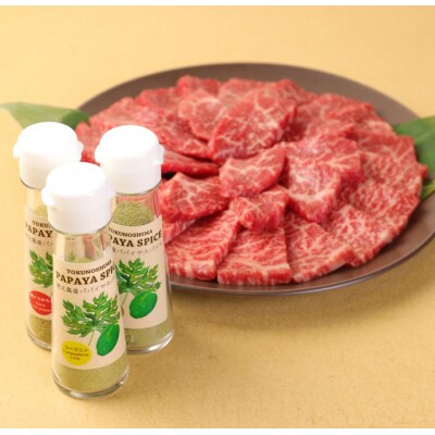 徳之島 天城町 鹿児島黒牛 赤身モモ肉 焼肉用 500g パパイヤスパイス 40g×3種セット
