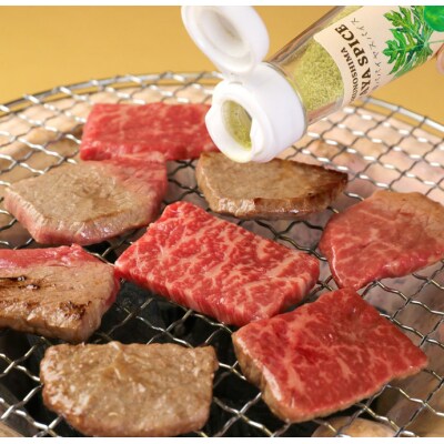 徳之島 天城町 鹿児島黒牛 赤身モモ肉 焼肉用 500g パパイヤスパイス 40g×3種セット