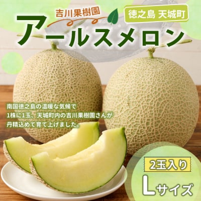 V V钬 gʎ A[X LTCY 2  }XN