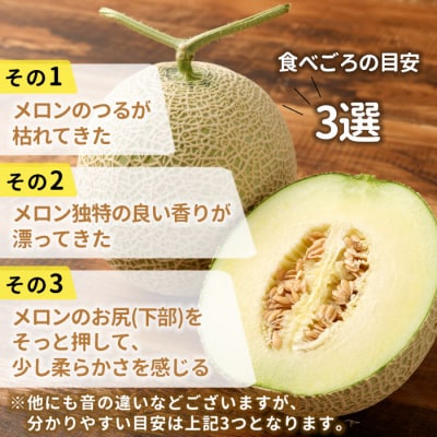 徳之島 天城町 吉川果樹園 アールスメロン Lサイズ 2玉 メロン マスクメロン