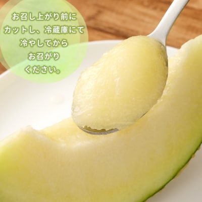 徳之島 天城町 吉川果樹園 アールスメロン Lサイズ 2玉 メロン マスクメロン