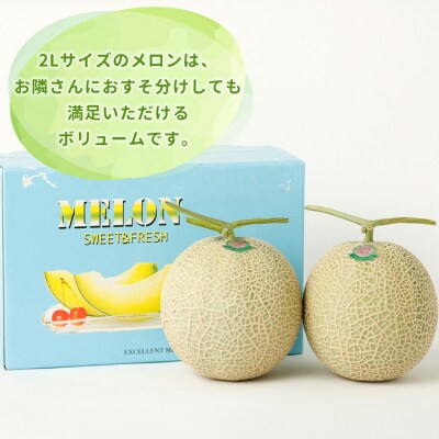 徳之島 天城町 吉川果樹園 アールスメロン 2Lサイズ 2玉 メロン マスクメロン