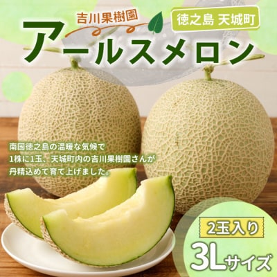 徳之島 天城町 吉川果樹園 アールスメロン 3Lサイズ 2玉 メロン マスクメロン