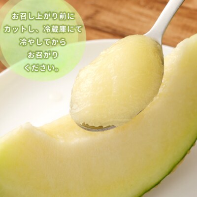 徳之島 天城町 吉川果樹園 アールスメロン 3Lサイズ 2玉 メロン マスクメロン