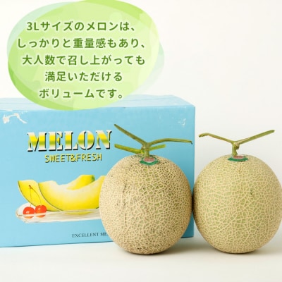 徳之島 天城町 吉川果樹園 アールスメロン 3Lサイズ 2玉 メロン マスクメロン