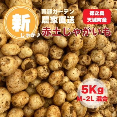 【新じゃが】徳之島 天城町産 赤土じゃがいも 5kg M～2L 混合サイズ 南部ガーデン ジャガイモ