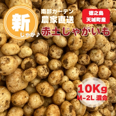 新じゃが 徳之島 天城町産 赤土じゃがいも 10kg M～2L 混合サイズ 南部ガーデン ジャガイモ