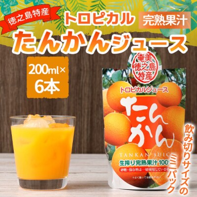 天城町産 生搾り完熟果汁100% 宝果樹園 ミニタンカンジュース 6本セット 200ml×6本