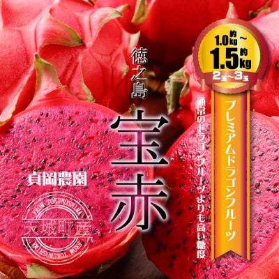 貞岡農園 プレミアム ドラゴンフルーツ 赤玉 1～1.5kg(2玉～3玉)天城町産 徳之島宝赤