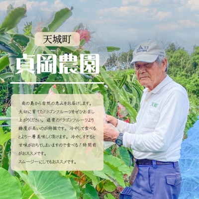貞岡農園 プレミアム ドラゴンフルーツ 赤玉 1～1.5kg(2玉～3玉)天城町産 徳之島宝赤