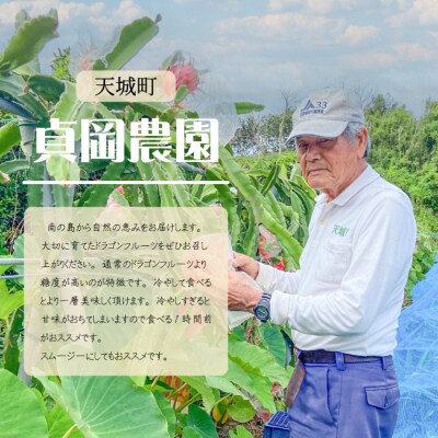 貞岡農園 プレミアム ドラゴンフルーツ 赤玉 2.5～3kg(4玉～6玉)天城町産 徳之島宝赤
