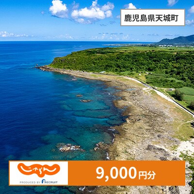 【じゃらんふるさと納税クーポン】 鹿児島県天城町でつかえる9,000円 クーポン