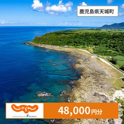 【じゃらんふるさと納税クーポン】 鹿児島県天城町でつかえる48,000円 クーポン